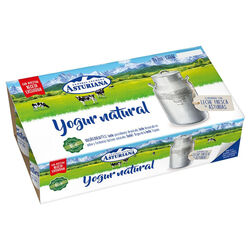 YOGUR ASTURIANA NATURAL 8X125g